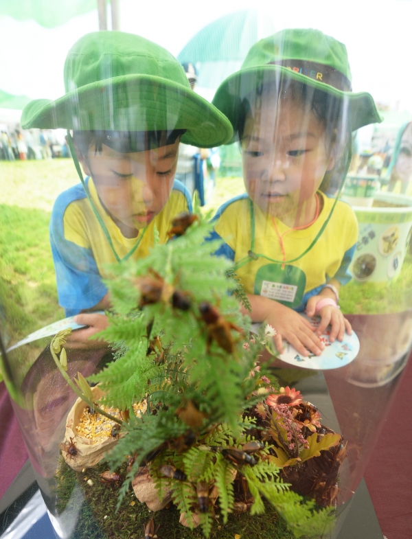 경기도 시흥에서 열린 곤충기획전을 찾은 어린이들이 귀뚜라미를 살펴보고 있다.
