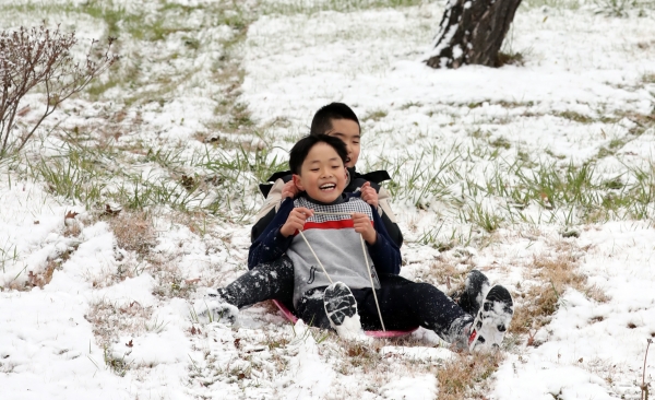 전국 곳곳에 많은 눈이 내린 11일 세종시 어진동의 한 공원에서 어린이들이 눈썰매를 타고 있다.