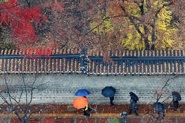 전국 대부분 지역에 비가 내린 지난 1일 오후 서울 중구 덕수궁 돌담길에서 우산을 쓴 시민들이 떠나가는 가을 정취를 느끼며 낙옆 쌓인 기와 아래를 걸어가고 있다.