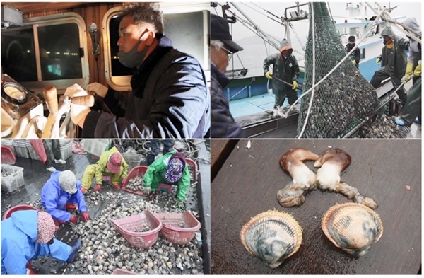[EBS 극한직업] 제철 해산물 새조개·주꾸미·가자미…봄 바다 어부들의 조업현장 