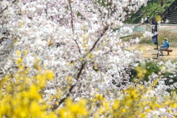 완연한 봄날씨를 보이고 있는 30일 오전 서울 강남구 도곡동에서 시민들이 마스크 등으로 중무장하고 산책을 하고 있다.