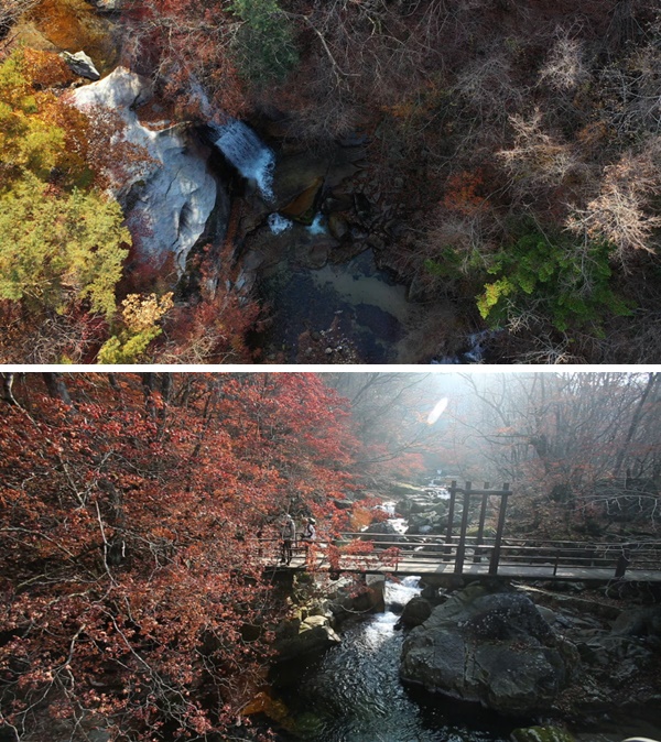 KBS 2TV 영상앨범 산 ‘시와 노래가 흐르는 가을 숲 - 인제 방태산’