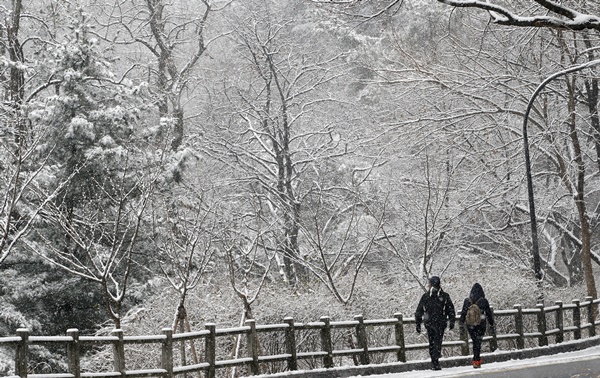 중부지방 곳곳에 눈이 내리는 가운데 13일 오전 서울 남산에서 시민들이 첫눈을 감상하고 있다. / 뉴스1