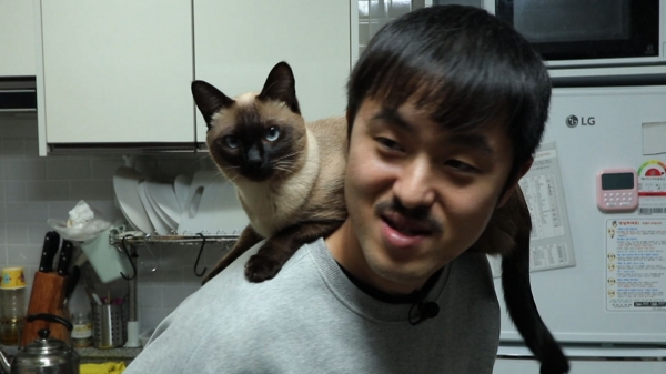 EBS 고양이를 부탁해 (고부해) ‘내 어깨 위 고양이 쪼미’