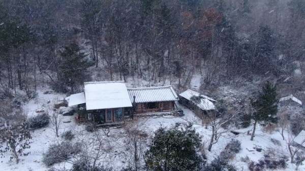 그들이 사는 세상 3부. ‘동백숲 작은 집’ / EBS 한국기행