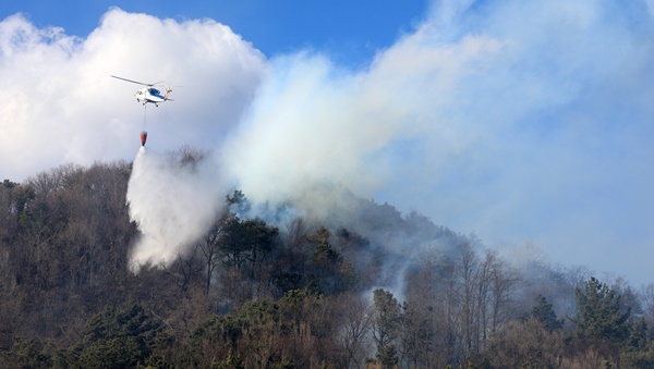 지난해 3월 19일 발생한 전주 완산칠봉 화재 당시 헬기가 화재 진압을 하는 모습.
