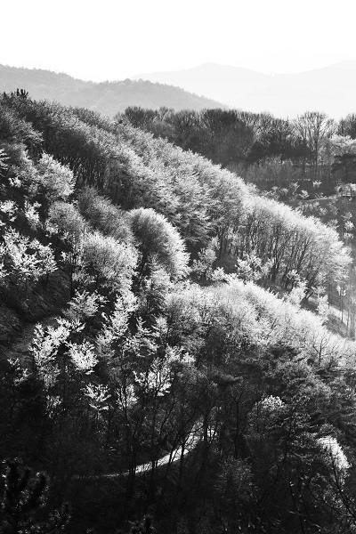 김도형 사진작가의 풍경-니콘 D810, 칼자이스 밀버스 135밀리 F5.6 1/2000(인스타그램 kimdohyoung7)
