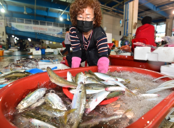 17일 경북 포항시 죽도어시장에서 상인이 가을 대표 생선인 전어를 판매하기 위해 준비하고 있다.