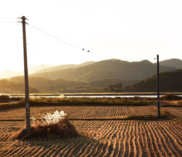 김도형 사진작가의 풍경-(southkorea landscape, instagram- photoly7)