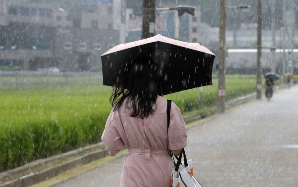 사진 - 24일 오후 대구 북구 학정동 들녘에서 우산을 쓴 시민이 비를 피해 발걸음을 재촉하고 있다. 2023.8.24/뉴스1 