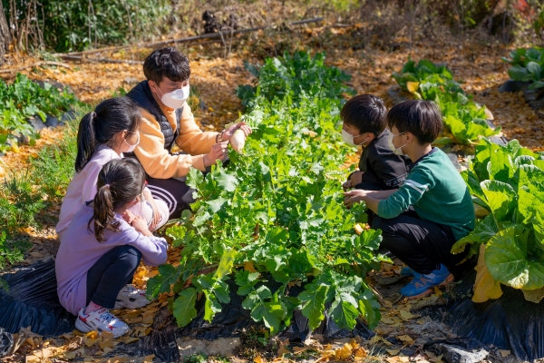 농촌유학 프로그램으로 강진 옴천초에 전학온 학생들이 선생님과 함께 농촌 체험활동을 하고 있다.