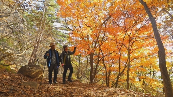EBS 한국기행-가을산 표류기 ‘소백, 가을에 물들다’