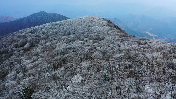 KBS2TV 영상앨범 산 ‘새해를 밝히는 산 - 태백산 국립공원’