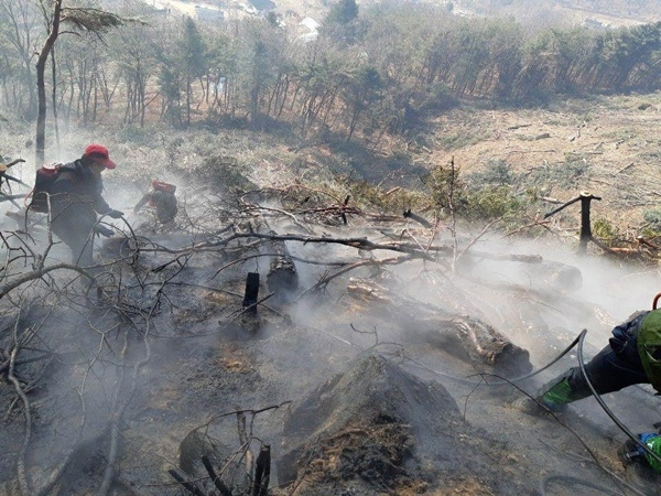 지난 5일 강원 춘천시 신북읍 발산리에서 발생한 산불 현장에 투입된 인력이 진화작업을 하고 있다.  (강원도 산불방지대책본부 제공)