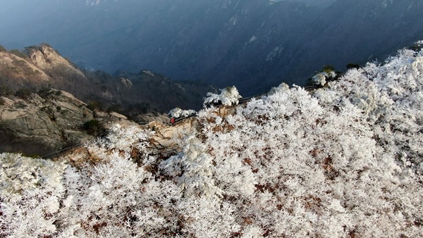 KBS2TV 영상앨범 산 ‘순백 얼음꽃을 만나다 – 계룡산 국립공원’
