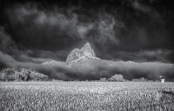 들판 너머로 보이는 마이산의 풍경이 미국의 사진작가 안셀 아담스가 찍은 요세미테 국립공원의 사진과 닮았다. 계조가 풍부한 흑백톤이 아담스의 사진 못지 않게 아름답다.