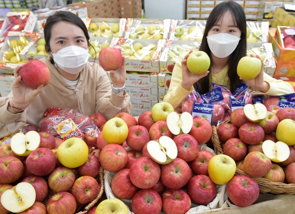 13일 농협 하나로마트 양재점(서울 서초구 소재)에서 모델들이 다양한  ‘사과’를 선보이고 있다.