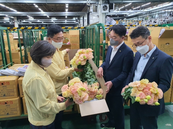 양재동 화훼공판장 에서 화훼 품위 점검 중인 한국농수산식품유통공사 김춘진 사장(좌측 2번째)