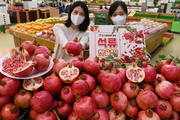 30일(일) 서울시 서초구에 위치한 농협 하나로마트 양재점에서 모델들이 환절기 감기예방에 좋은 첫 출하된 ‘석류’를 소개하고 있다.
