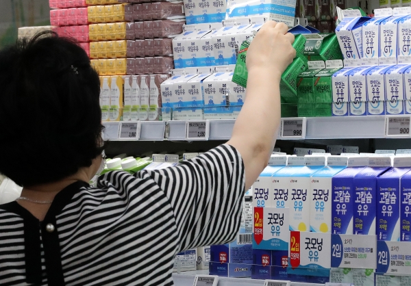 11일 서울 서초구 양재동 하나로마트를 찾은 시민이 우유를 고르는 모습. 2023.6.11