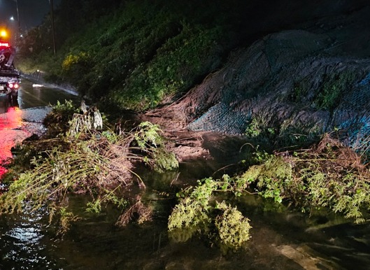 사진 -지난 20일 오후 7시30분께 울산 북구 미포산업로 비탈면의 토사가 유출돼 나무가 쓰러져 있다. (울산시 제공)