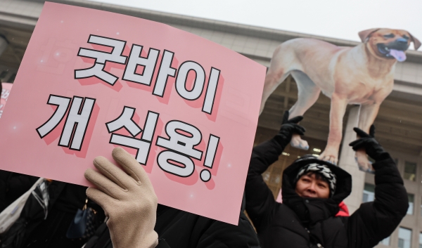 개 식용 종식을 위한 국민행동 활동가들이 9일 서울 여의도 국회 본관 계단 앞에서 개식용 종식 특별법 제정 환영 기자회견을 하고 있다. 2024.1.9