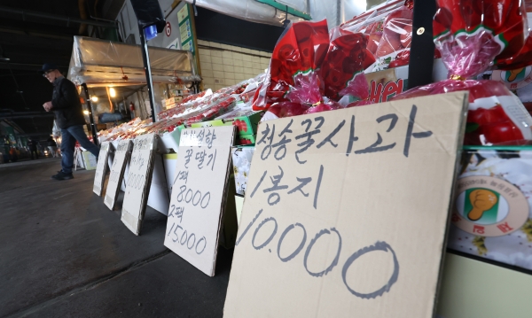서울 송파구 가락농수산물도매시장에 사과가 진열돼 있다. 2024.3.12